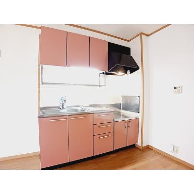 セレーナⅠ 102【管理NO：1-012882501-01020】 ★家具家電は申し込み後に搬入します★の物件写真3