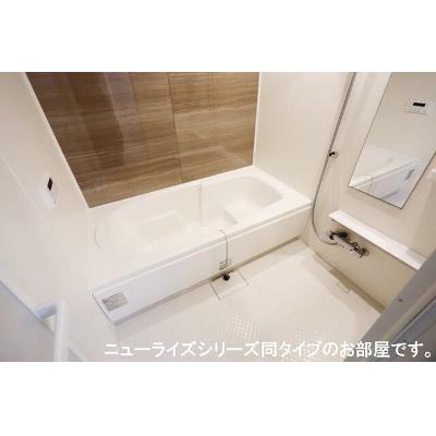 セレニア 101【管理NO：1-028907401-01010】 ★家具家電は申し込み後に搬入します★ ★2027年03月中旬入居可能★の物件写真4