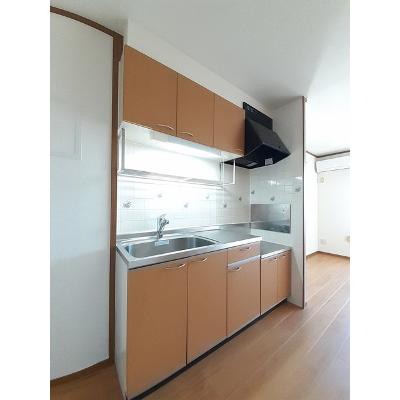 湘南ジェンテ 203【管理NO：1-011378401-02030】 ★家具家電は申し込み後に搬入します★ ★2026年11月下旬入居可能★の物件写真3