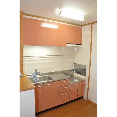 エレガンスガーデン 203【管理NO：1-012707701-02030】 ★家具家電は申し込み後に搬入します★ ★2026年11月下旬入居可能★の物件写真3