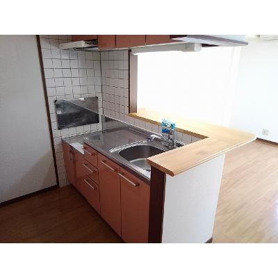 シューネス 202【管理NO：1-012722401-02020】 ★家具家電は申し込み後に搬入します★ ★2026年11月下旬入居可能★の物件写真3