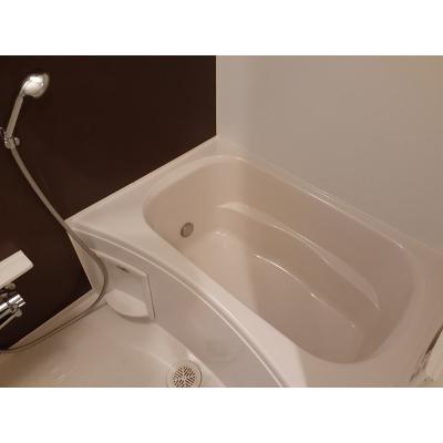アルドーレ　ブラン 202【管理NO：1-021737901-02020】 ★家具家電は申し込み後に搬入します★ ★2026年10月中旬入居可能★の物件写真6