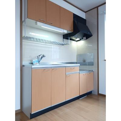 ティンカーベル 203【管理NO：1-010543501-02030】 ★家具家電は申し込み後に搬入します★ ★2026年11月下旬入居可能★の物件写真3