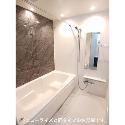 サルス・ノヴァⅡ 102【管理NO：1-027595901-01020】 ★家具家電は申し込み後に搬入します★ ★2027年02月下旬入居可能★の物件写真4