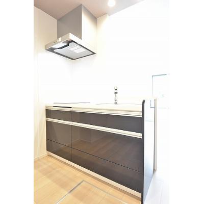 パレット４５ 101【管理NO：1-027946401-01010】 ★家具家電は申し込み後に搬入します★の物件写真3