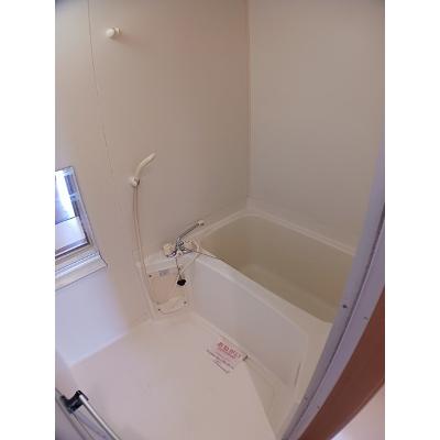 ルシア 204【管理NO：1-007751801-02040】 ★家具家電は申し込み後に搬入します★ ★2026年12月中旬入居可能★の物件写真4