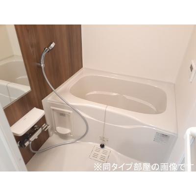 アマルコルド 204【管理NO：1-028766201-02040】 ★家具家電は申し込み後に搬入します★ ★2027年02月上旬入居可能★の物件写真4