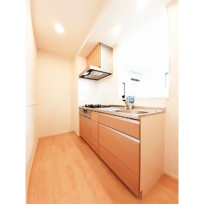 カトレア 201【管理NO：1-025080701-02010】 ★家具家電は申し込み後に搬入します★ ★2026年11月上旬入居可能★の物件写真3