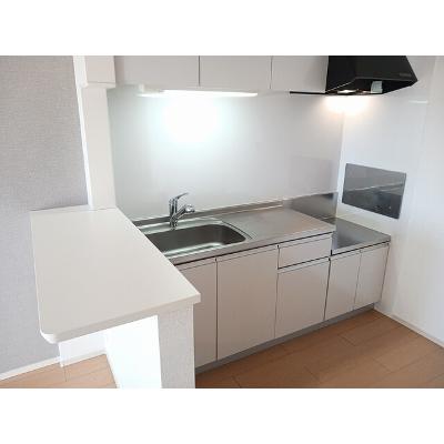 サンリットⅢ 202【管理NO：1-020119102-02020】 ★家具家電は申し込み後に搬入します★ ★2026年10月下旬入居可能★の物件写真3