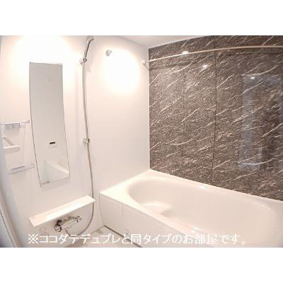 プリムローズＳＹ 102【管理NO：1-028916601-01020】 ★家具家電は申し込み後に搬入します★ ★2027年03月上旬入居可能★の物件写真4