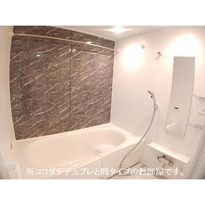プリムローズＳＹ 101【管理NO：1-028916601-01010】 ★家具家電は申し込み後に搬入します★ ★2027年03月上旬入居可能★の物件写真4