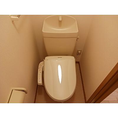 ニュープリムローズ　Ａ 202【管理NO：1-011546301-02020】 ★家具家電は申し込み後に搬入します★ ★2026年11月下旬入居可能★の物件写真5