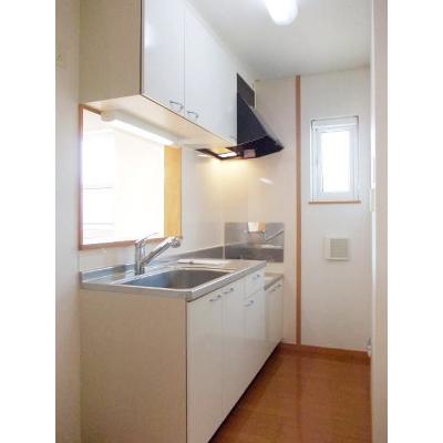 クレイドルⅡ 203【管理NO：1-014506902-02030】 ★家具家電は申し込み後に搬入します★ ★2026年11月上旬入居可能★の物件写真3