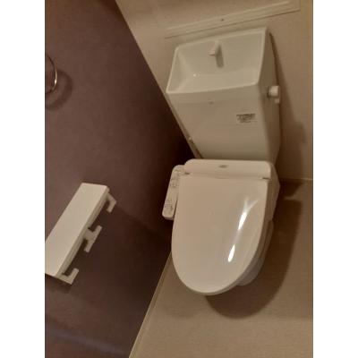 セレノカーサＯＭＩ　Ⅵ 204【管理NO：1-025065301-02040】 ★家具家電は申し込み後に搬入します★ ★2026年12月上旬入居可能★の物件写真5