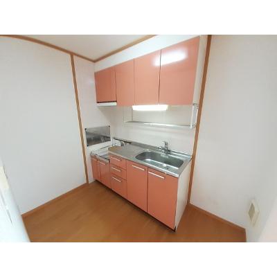 ラッフィナート 203【管理NO：1-012463401-02030】 ★家具家電は申し込み後に搬入します★ ★2026年11月下旬入居可能★の物件写真3