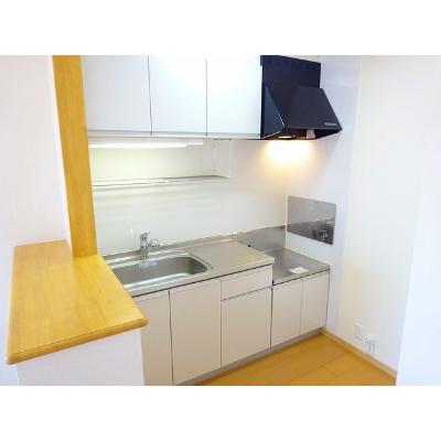 グレイスフル早川 203【管理NO：1-014841101-02030】 ★家具家電は申し込み後に搬入します★ ★2026年12月上旬入居可能★の物件写真3