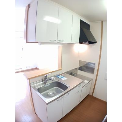 アプローズⅢ 206【管理NO：1-014063701-02050】 ★家具家電は申し込み後に搬入します★ ★2026年12月中旬入居可能★の物件写真3