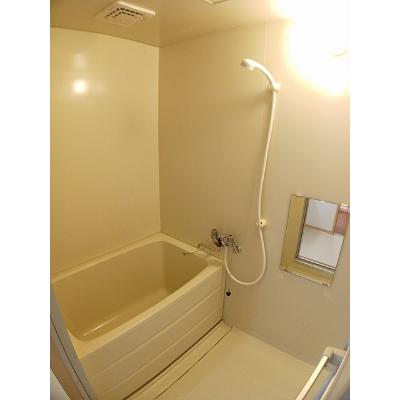 スカイハイツ 203【管理NO：1-003124801-02030】 ★家具家電は申し込み後に搬入します★ ★2026年11月下旬入居可能★の物件写真4