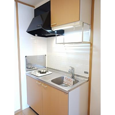 マニフィーク 308【管理NO：1-012243001-03080】 ★家具家電は申し込み後に搬入します★ ★2026年11月下旬入居可能★の物件写真3