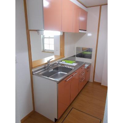 ファインロイテⅣ 101【管理NO：1-013299402-01010】 ★家具家電は申し込み後に搬入します★ ★2026年11月中旬入居可能★の物件写真3
