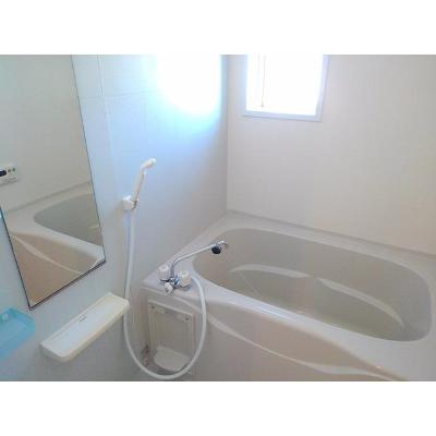 ｙｏｕ・ｓｈｉｎｉｎｇ 202【管理NO：1-015348301-02020】 ★家具家電は申し込み後に搬入します★ ★2026年12月下旬入居可能★の物件写真4