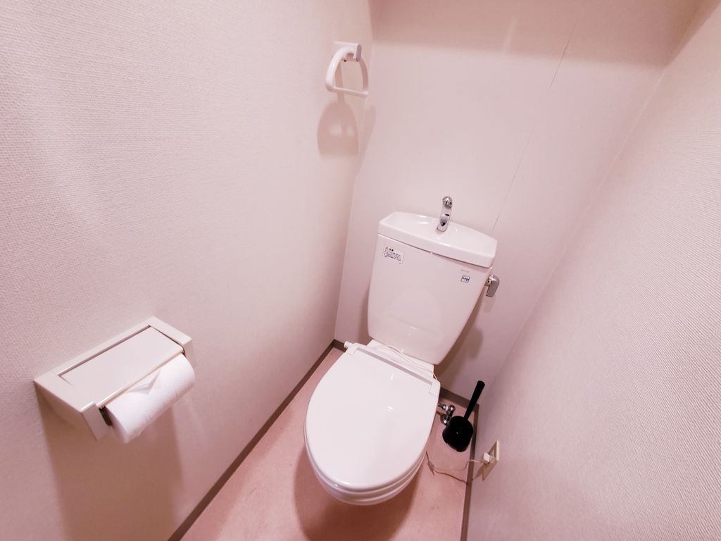 åɥƥĮ좣ڥ١åۤʪ̿5