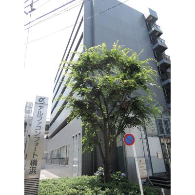 アルファコンフォート横浜【Ａタイプ】　☆大浴場・食堂あり☆　ハイグレードマンションの物件写真1