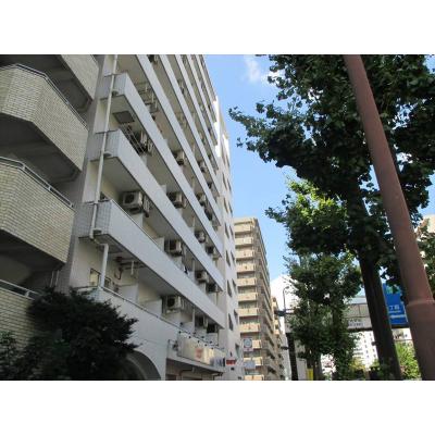 ユニオンマンスリー川崎２　607　1R・シングル☆川崎駅徒歩7分／室内洗濯機／エレベーターありの物件写真1