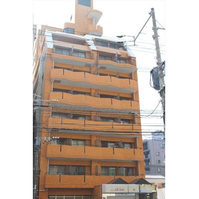 ����ʪ�����