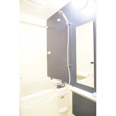 ڱض🌟쥤ۥ󥹥ƥھ쥬ǥEˡХȥ🛀/ȥå🔒/Ω/BOX/ͥå̵🎧ʪ̿3