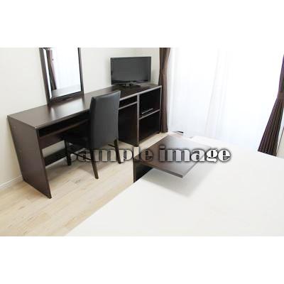 グッドステイ押上・亀戸天神前※『25平米』【ハイクラス】の物件写真2