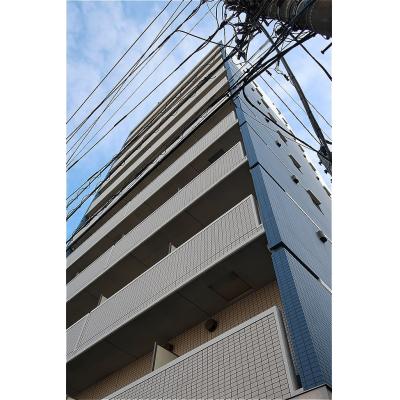 OneLife楹ԥڢ⸫زġʢˤꡢ̡ˡۤγѲ