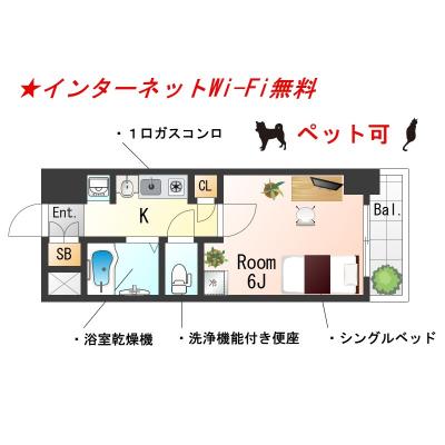 SƥECضơ󥿡ͥåWi-Fi̵Ἴ˼絡åȡKȥåڥåȲġʪּ