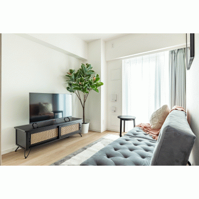 【本所吾妻橋4分】浅草東・観光地近くで落ち着いた暮らし丨Dash Living Asakusa East1 Bedroom（1LDK）(1)の物件間取り図