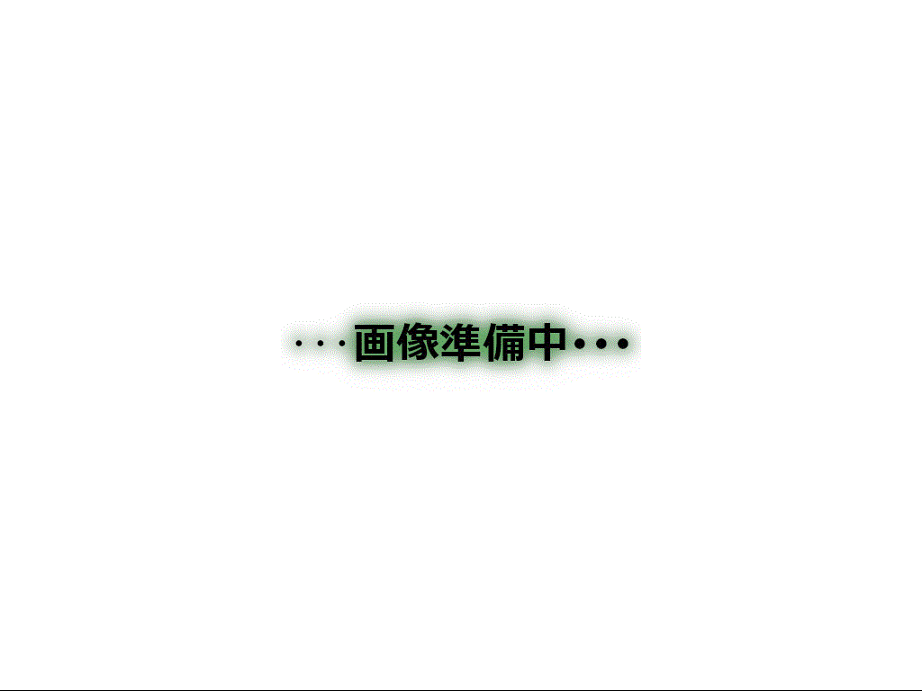 グッドステイ埼京線北戸田EASTラフィーナー■『禁煙ルーム・ロフト・複数入居不可・独立洗面・浴室乾燥付』【ハイクラス】の間取り図