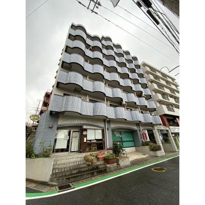 ˥ޥ󥹥꡼2031Rߥ֥롦ĤstyleʪϿ