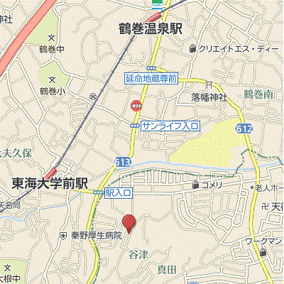 マンスリーリブマックス小田急線・東海大学前EAST■『23平米・1名入居限定』【セパレート】≪スタンダードシリーズ≫の物件地図