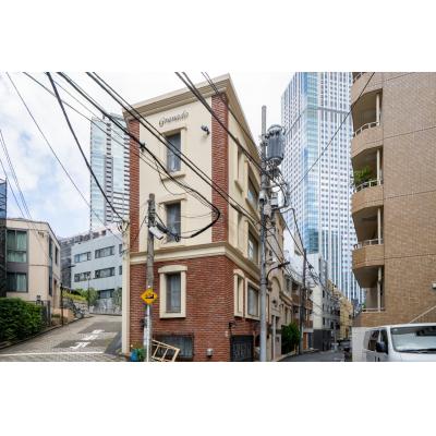 🍹六本木&赤坂徒歩圏内🍷モノトーンのお洒落な1R★ドラム式洗濯機付き★グラナード101の物件地図