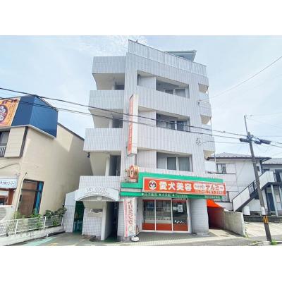 ˥ޥ󥹥꡼ʸˣ2041R󥰥ڶر롼۳ʪŻҥ󥸤ʤŴǥΤ뤪/ˤ礭ΥѡʪϿ