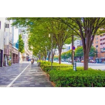 【新規OPEN】COSOJIマンスリー スイーズS4｜ネット無料★大通りすすきの徒歩圏内★バス・トイレ別の物件地図