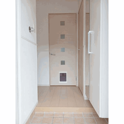 ドルチェ 101【管理NO：1-020634301-01010】 ★家具家電は申し込み後に搬入しますの物件地図
