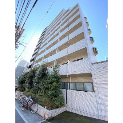 ˥ޥ󥹥꡼5021K󥰥ʪϿ